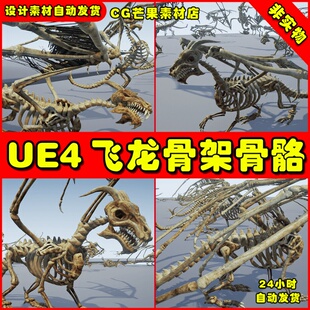 UE4骷髅骨骼飞龙怪物龙UE5生物亡灵模型 Bones Dragon