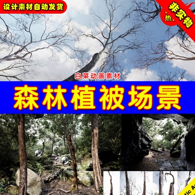 UE4 UE5 Trees Realistic Forest Plants Pack 写实森林植物场景