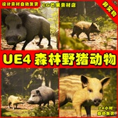 UE4森林小猪野猪UE5动物模型 young Boar Animalia Wild