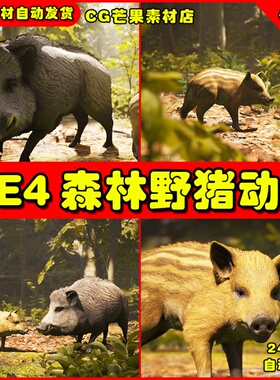 UE4森林小猪野猪UE5动物模型 Animalia - Wild Boar young