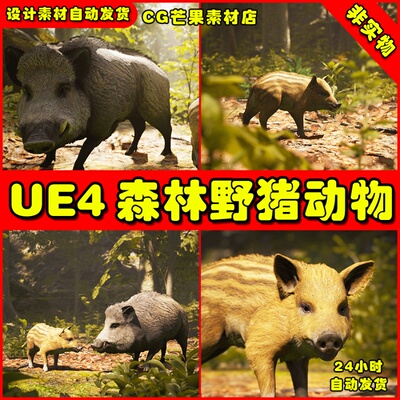 UE4森林小猪野猪UE5动物模型 Animalia - Wild Boar young