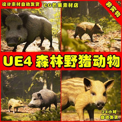 UE4森林小猪野猪UE5动物模型 Animalia - Wild Boar young