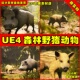 UE4森林小猪野猪UE5动物模型 young Boar Animalia Wild