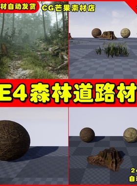 UE4森林道路UE5路径材质 Megascans - Forest Path