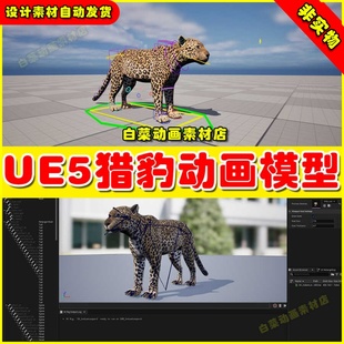 UE5虚幻Indian Leopard Control Rig猎豹生物动画虚拟素材模型5.2