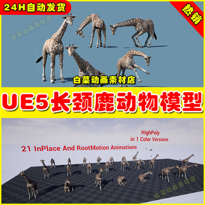 UE5 African Animal Giraffe 长颈鹿动物动画生物5.1