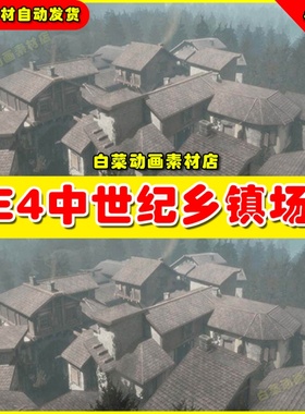 UE4中世纪乡村屋子房子小镇场景 Medieval Village inedible