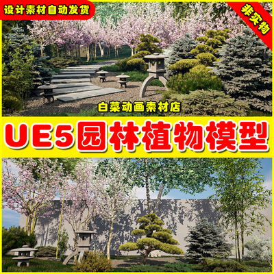 UE5 Landscaping Asiatic 1园林景观绿化植物虚拟素材模型5.3版本