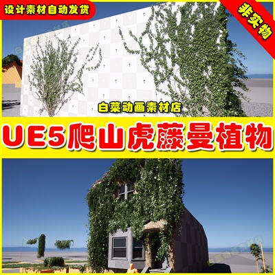 UE5 Realistic Ivy Foliage and Vines Plants 爬山虎藤蔓植物5.1