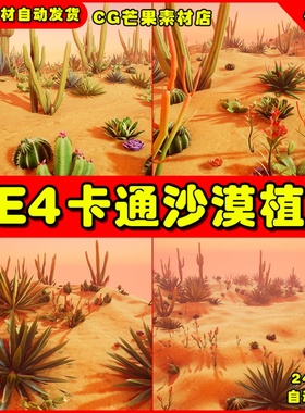 UE4卡通沙漠UE5仙人掌野草植物 Stylized Desert Plants