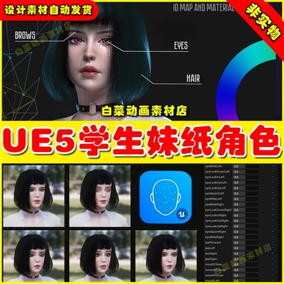 School Girl - Various Outfits 学生水手服短裙妹纸角色UE5 5.2