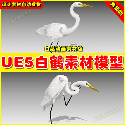 Unreal UE5 Egret 虚幻引擎5.5版本白鹭白鹤动物素材动画模型