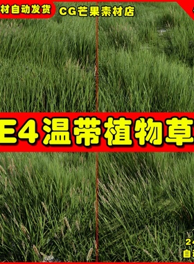 UE4草坪草地草原 temperate Vegetation optimized Grass Library