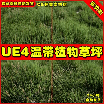 UE4草坪草地草原 temperate Vegetation optimized Grass Library