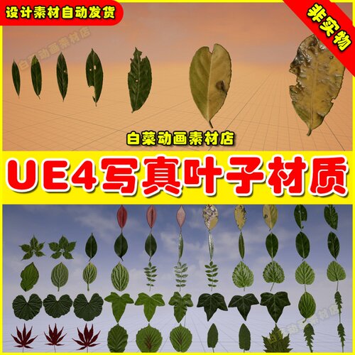 UE4虚幻UE5 Klian Photorealistic Leaves写实逼真树叶叶子树林花