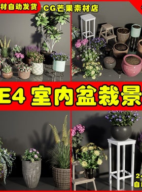 UE4室内盆栽UE5道具 HQ Plants Vol. 6 ( Flowered Plants )