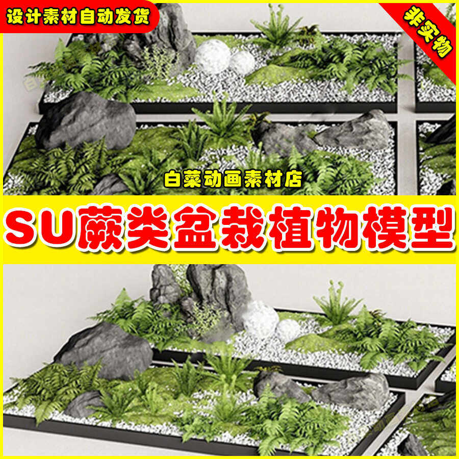 蕨类盆栽植物SU模型库sketchup景观庭院园林小品绿植组合草图大师