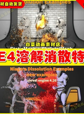UE4 Niagara Dissolution Example角色消散消失消失UE5特效4.27