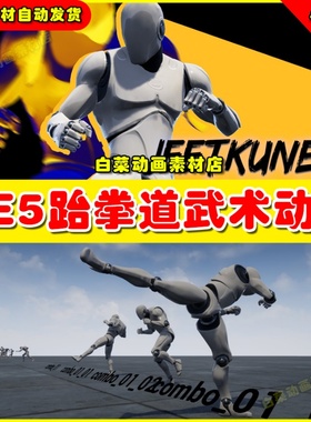 UE5虚幻资源 JeetKuneDo AnimSet 跆拳道武术功夫打斗动画5.2