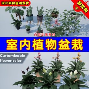 Pack Houseplant 室内盆栽 Plants and Exterior Interior UE4