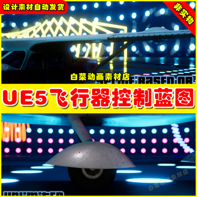 UE5 Cinematic Aircraft Rig 卡通飞机飞行器控制蓝图5.1 5.4版本