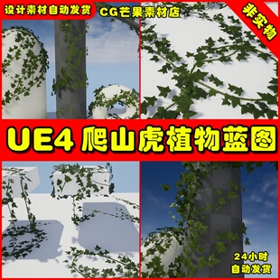 UE4写实爬山虎植物树叶UE5生成蓝图 Procedural Ivy Generator