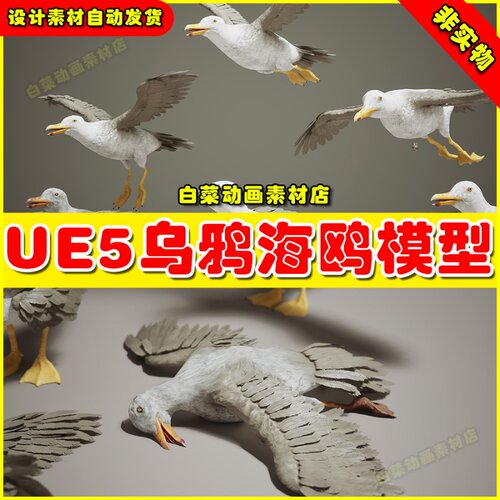 UE5虚幻Critters VOL.2 - Crows & Seagulls 海鸥乌鸦飞鸟模型5.2