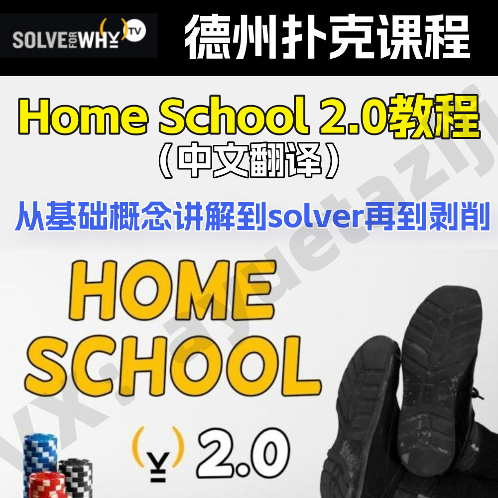 Solve For Why德州扑克教学视频HomeSchool基础到进阶GTO剥削课程