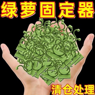绿萝爬墙神器植物藤蔓固定器绿植攀爬夹子壁挂无痕挂钩爬藤杆墙面