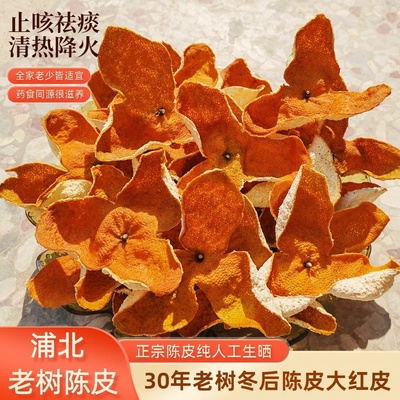 广西浦北陈皮茶枝柑冬后大红皮