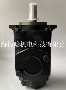 T6CC-014-008-1R03-C100 DENISON双联叶片泵 T6DC/T6EC/T6ED/T6EE