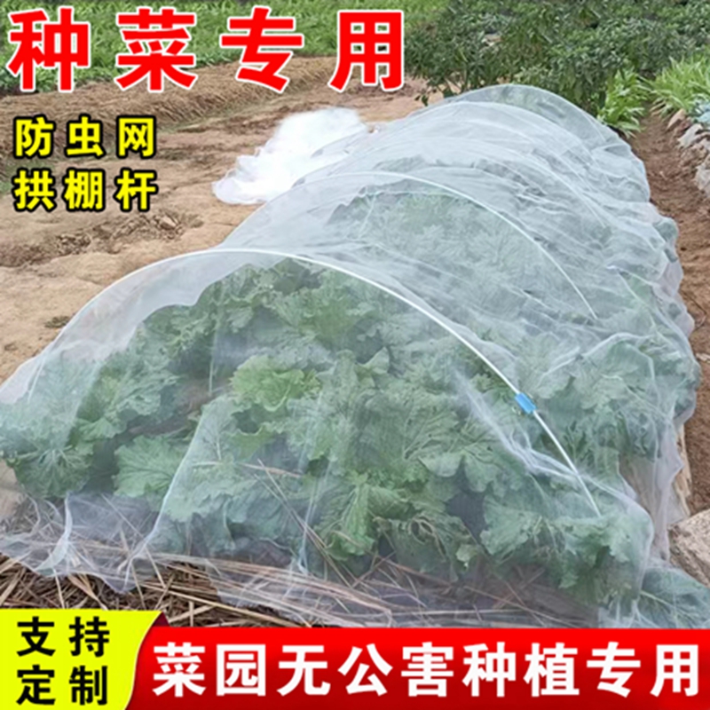 种菜防虫网菜园楼顶种菜专用纱网加厚户外种植大棚防虫拱棚网罩 鲜花速递/花卉仿真/绿植园艺 其它园艺用品 原图主图