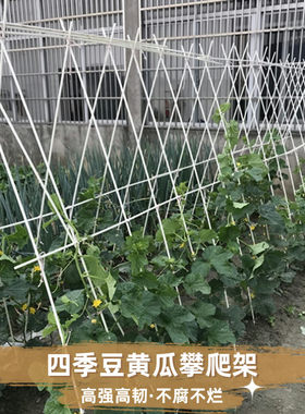 豆角架黄瓜架实心玻璃纤维杆