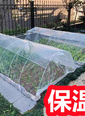 菜园保温棚家用小型蔬菜大棚