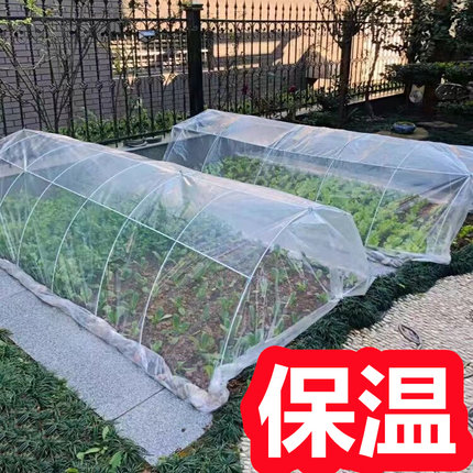 菜园保温棚 家用小型蔬菜大棚 家用蔬菜棚 种菜保温棚 蔬菜保温棚