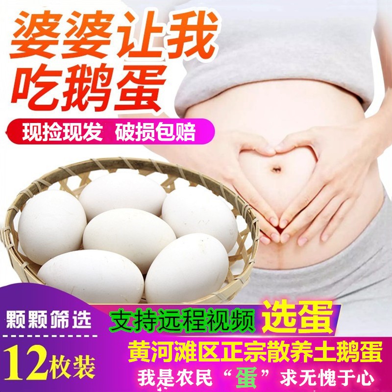 土鹅蛋新鲜农家散养鹅蛋现捡现发