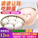 鹅蛋新鲜孕妇黄河滩农家散养超大正宗现捡土鹅蛋115 130克12枚装