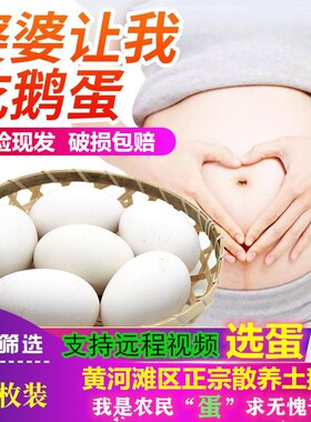 鹅蛋新鲜孕妇黄河滩农家散养超大正宗现捡土鹅蛋115-130克12枚装