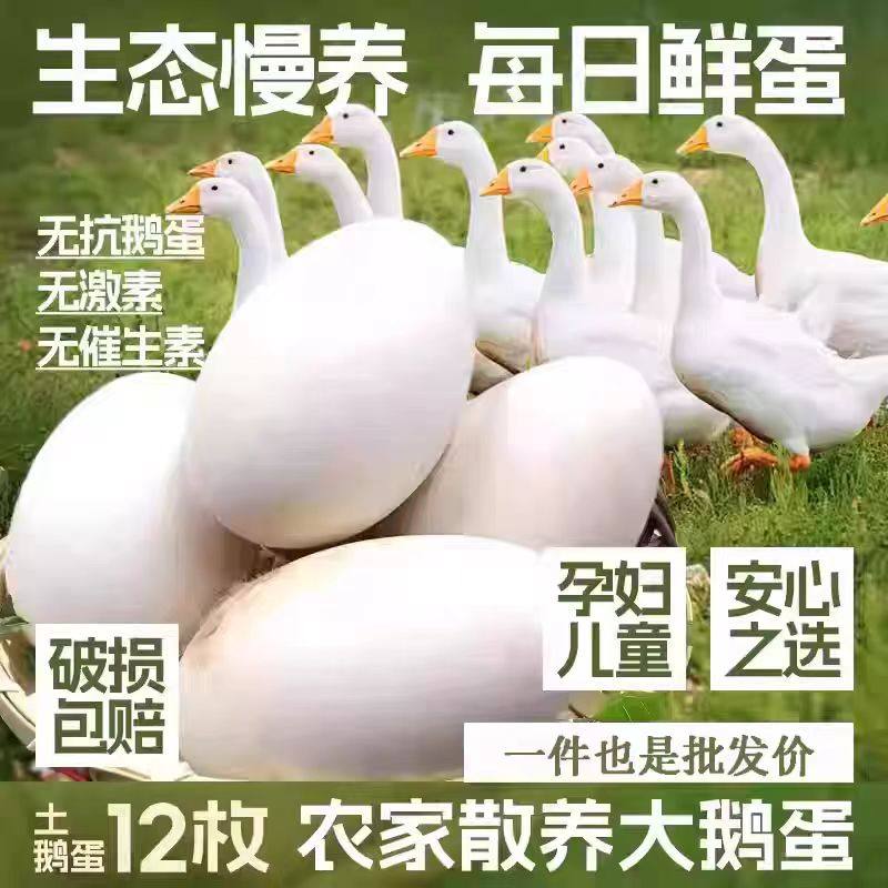 鹅蛋新鲜孕妇农家散养新鲜鹅蛋特大超大12枚单黄真鹅蛋批发饿蛋,水产肉类/新鲜蔬果/熟食,鹅蛋,淘宝优惠券,粉丝福利购,淘宝优惠卷