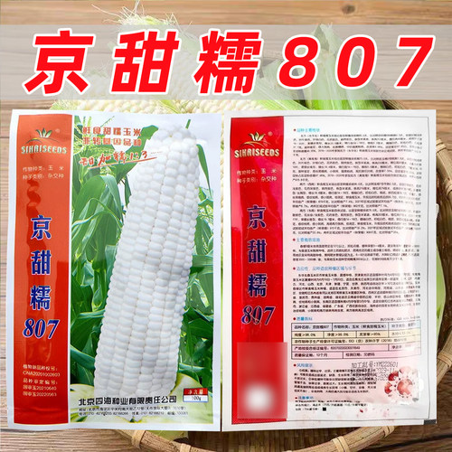 京甜糯807玉米种子大棒甜加糯黏优质甜糯口感好高产抗病玉米种子