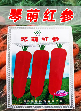 琴萌红参胡萝卜种子橙红色芯细高产生长整齐三红率高耐热蔬菜种子
