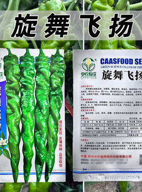 旋舞飞扬螺丝椒种子1000粒早熟丰产全螺旋抗病耐低温优质螺丝椒籽