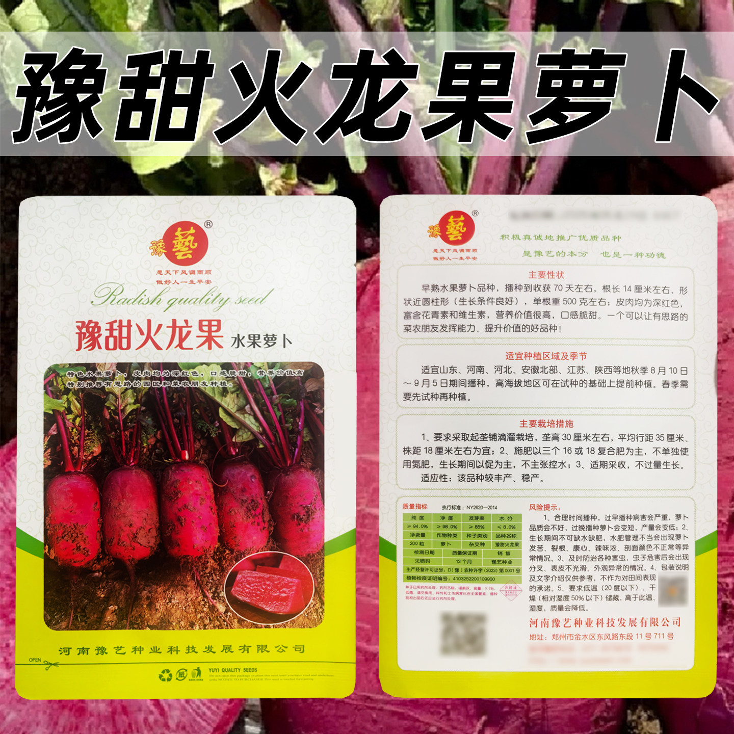 皮肉深红色口感脆甜水果萝卜种子