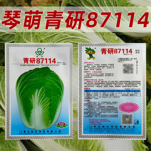 琴萌青研87114白菜种子耐贮藏中晚熟丰产一致性高抗病白菜种子