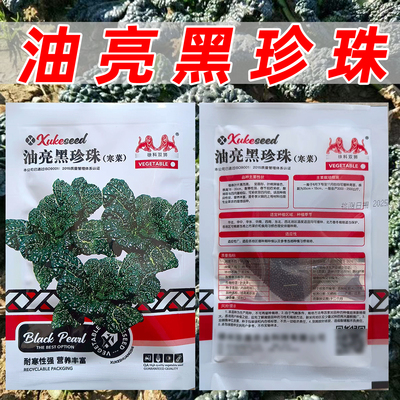 油亮黑珍珠寒菜种籽耐寒性强高产