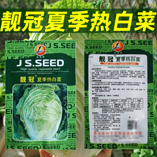 早熟抗湿产量高结球速度快白菜籽