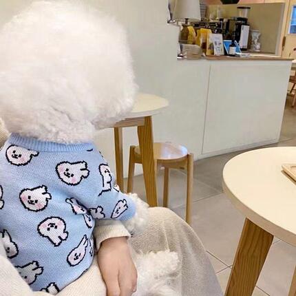 宠物衣服狗狗毛衣马尔济斯比熊泰迪博美雪纳瑞小狗小型犬猫秋冬装