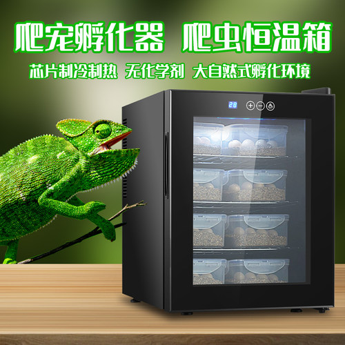温纳美小型爬宠孵化箱乌龟孵化机蜥蜴孵化器爬虫恒温箱蛇类孵化柜