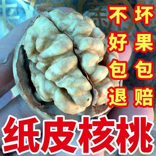 185纸皮核桃2026新货原味核桃