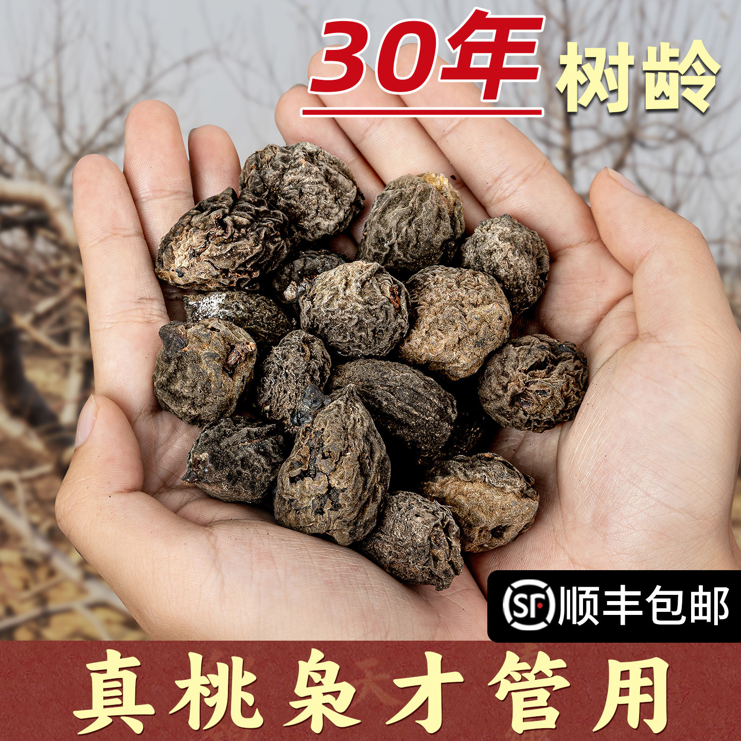正宗野生桃枭散珠手串挂件天然桃装饰摆件